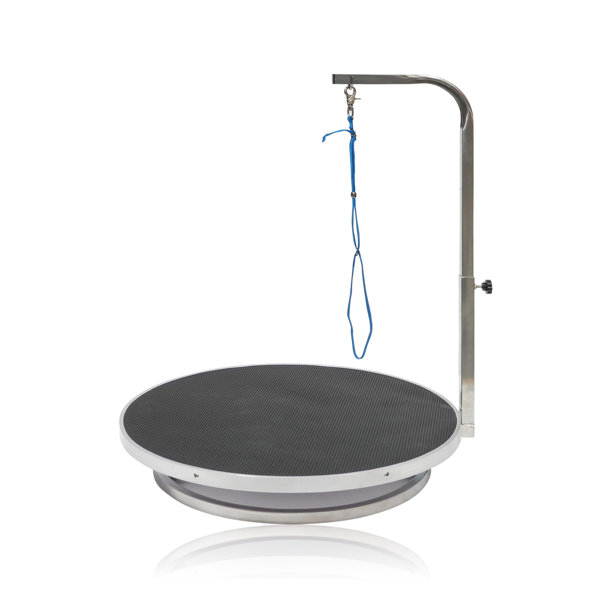 Go Pet Club Dog Grooming Table with Arm & Reviews Wayfair Canada